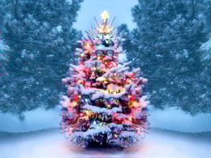 Image of Wishing You a Merry Christmas!